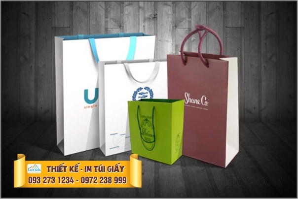 IN TÚI GIẤY GIÁ RẺ TẠI GIA LAI